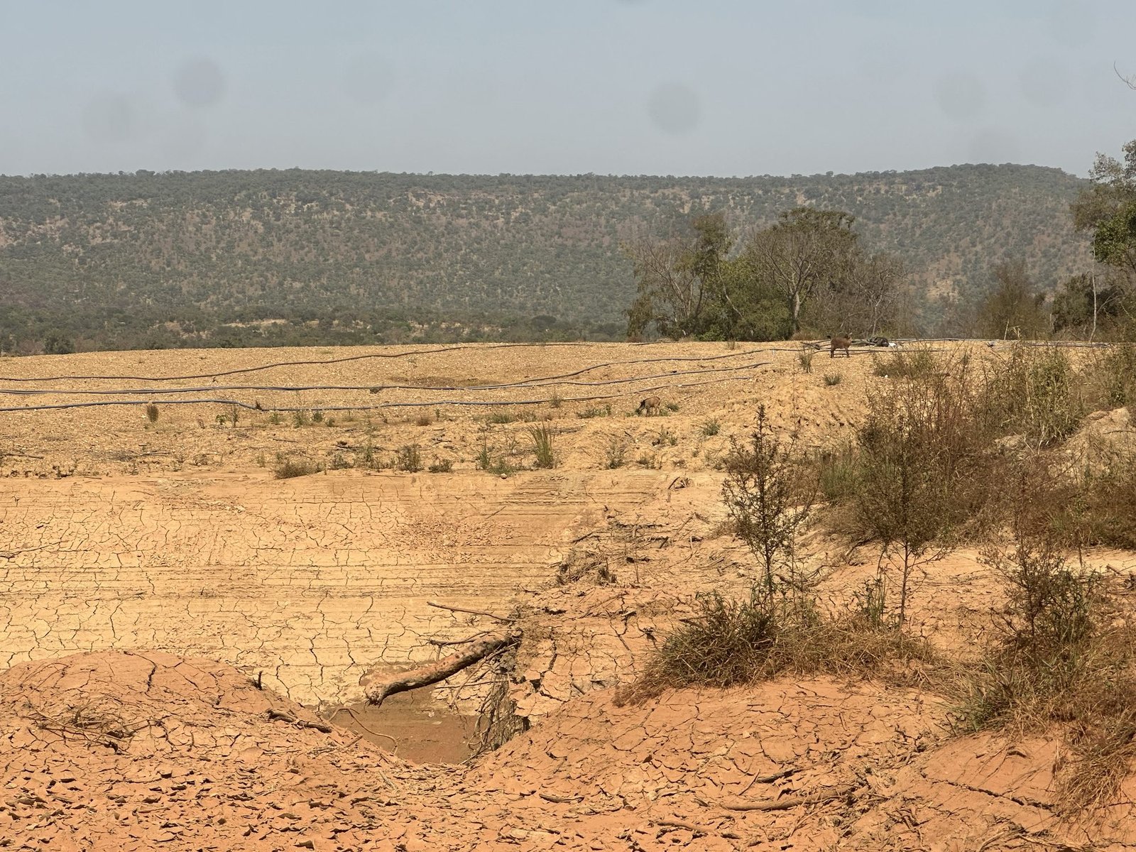 Paysage de savane sèche dans la commune de Naréna