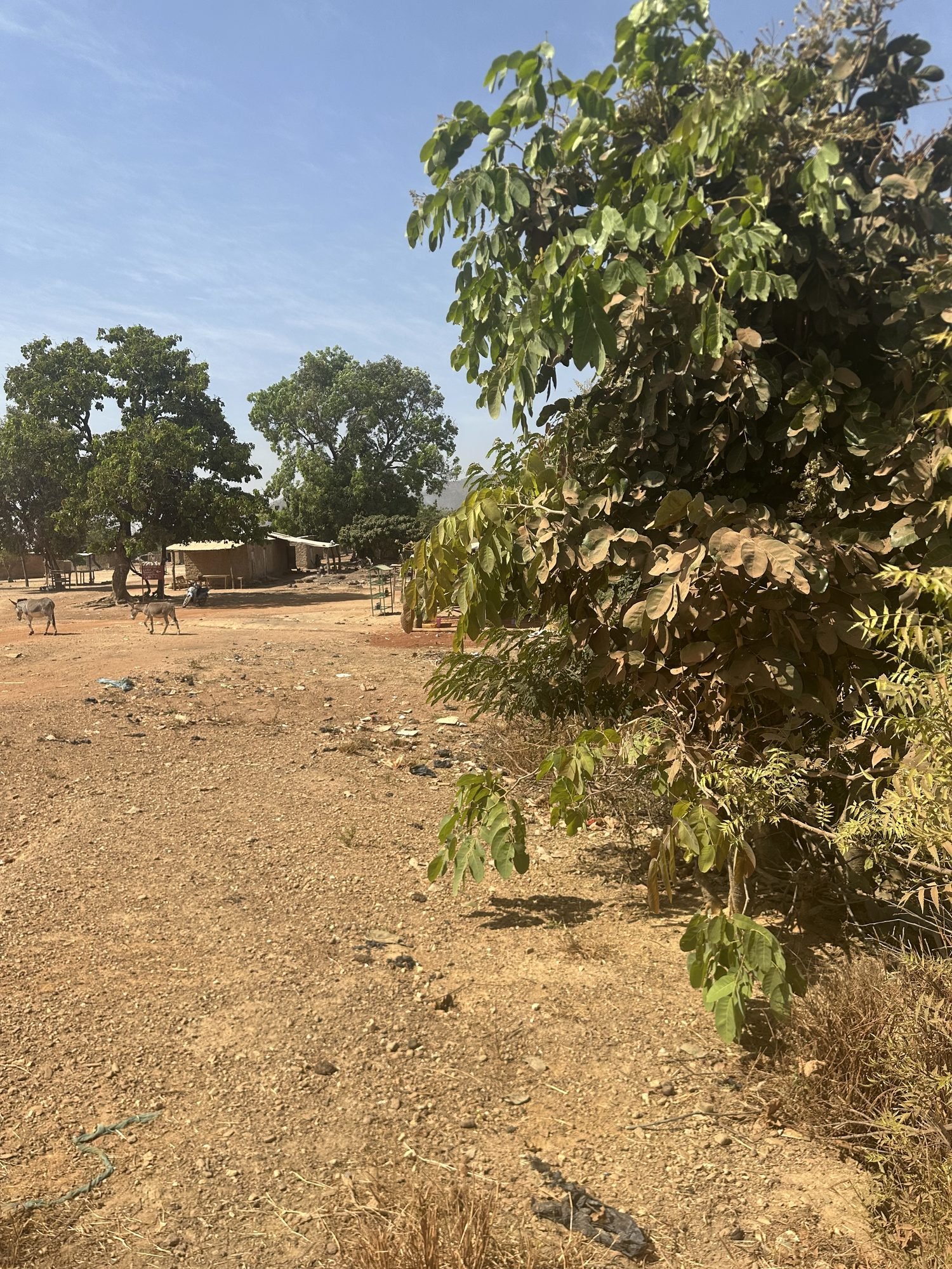 Zone villageoise arborée dans le périmètre d'intervention de SEAM